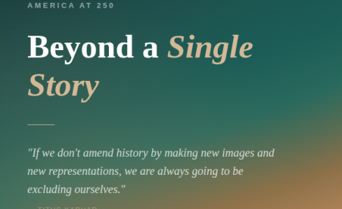 beyond a single story graphic